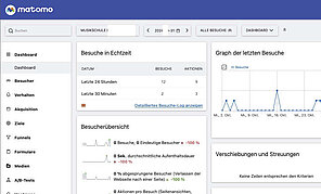 Screenshot mit Auswertungen des Analyseprogramms Matomo